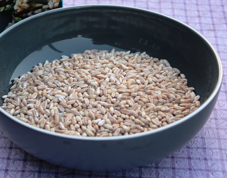 Pearled spelt.jpg.