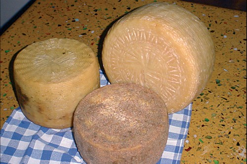 Pecorino Bagnolese cheese.jpg.