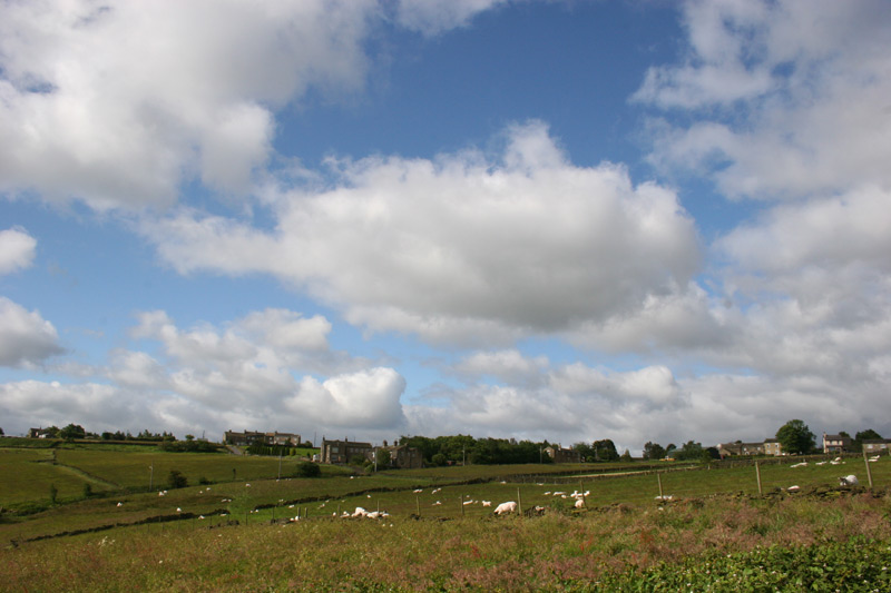 TypicalYorkshireSheepFarm.jpg. TypicalYorkshireSheepFarm.jpg.
