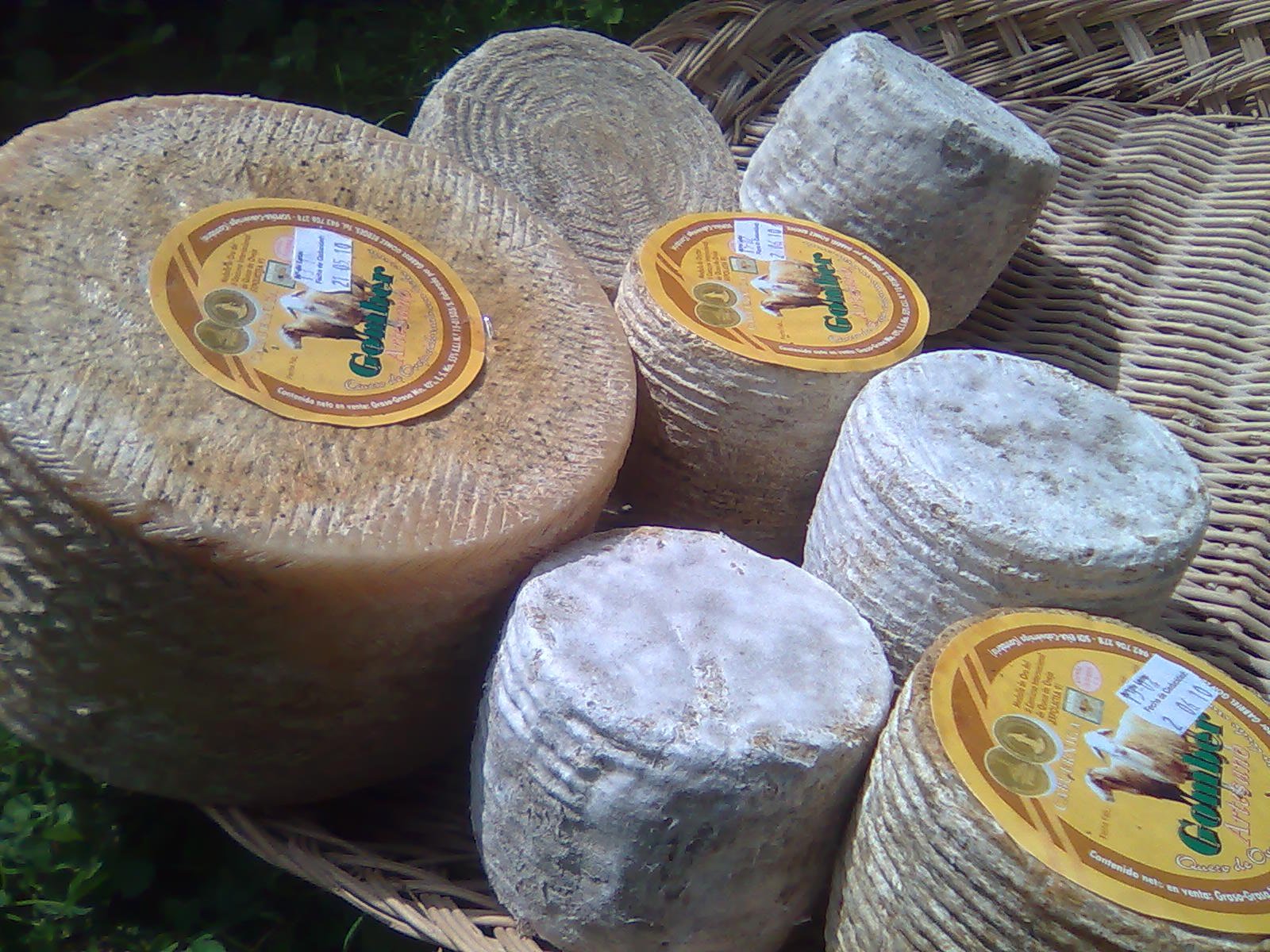 Gomber Oveja cheese.jpg. Gomber Oveja cheese.jpg.