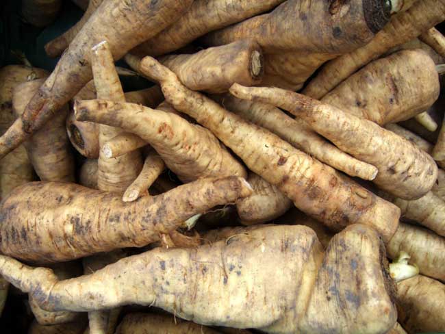 Parsnips.jpg.