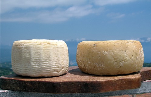 Cacioricotta caprina del Cilento cheese.jpg.