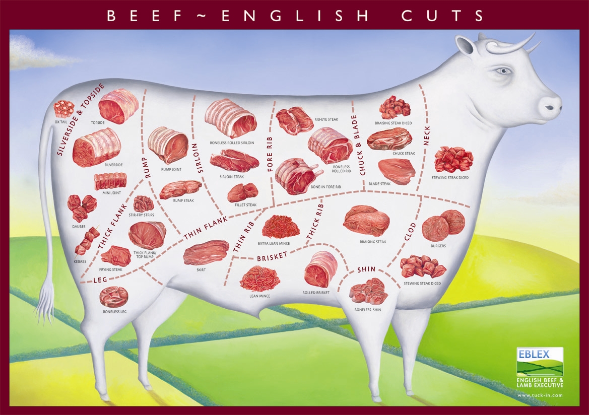 Cuts of beef - illustrated.jpg.