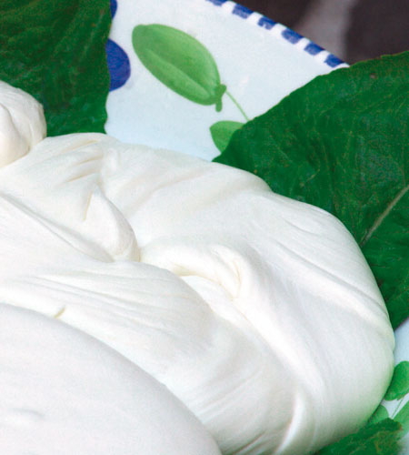 Fior di latte cheese.jpg.