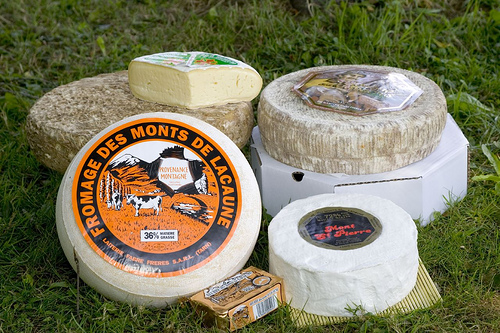 Fromage des Monts de Lacaune cheese.jpg. Fromage des Monts de Lacaune cheese.jpg.