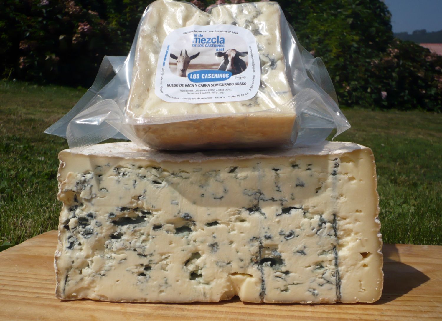 Azul de Los Caserinos cheese.jpg.