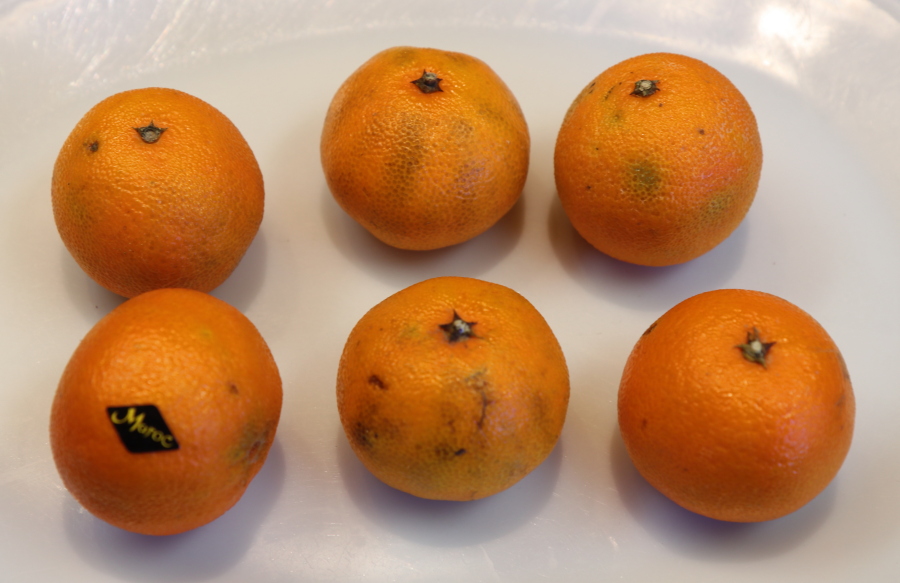 6 small tangerines.jpg.