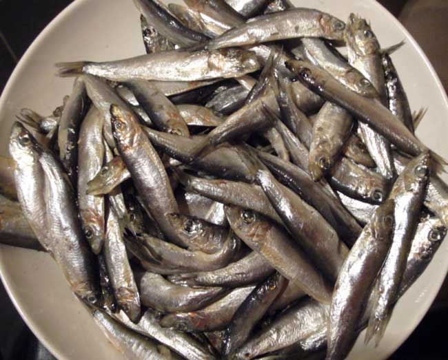 Whitebait.jpg. Whitebait.jpg.