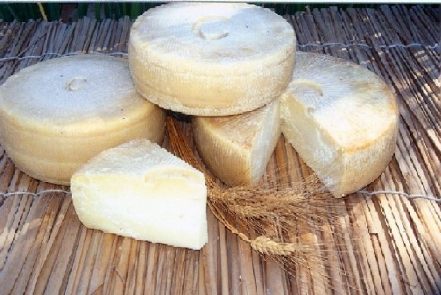 Pecorino Marchigiano cheese.jpg.