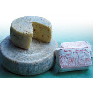 Toma della Valle di Susa cheese.jpg. Toma della Valle di Susa cheese.jpg.