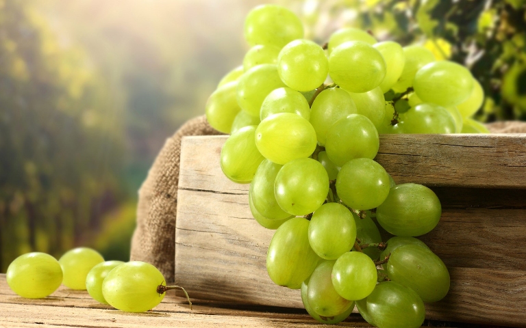 Uva da tavola di Canicattì (Canicattì table grape).jpg. Uva da tavola di Canicattì (Canicattì table grape).jpg.