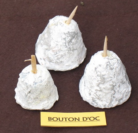 Bouton d'Oc cheese.jpg. Bouton d'Oc cheese.jpg.