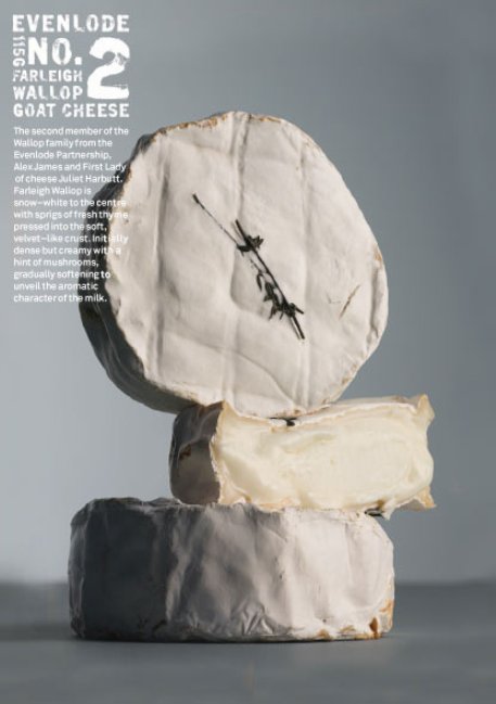 Farleigh Wallop.jpg.