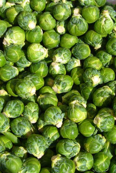 Brussels sprouts.jpg.