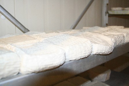 Formaggio Caprino d&#39;alpeggio.jpg.