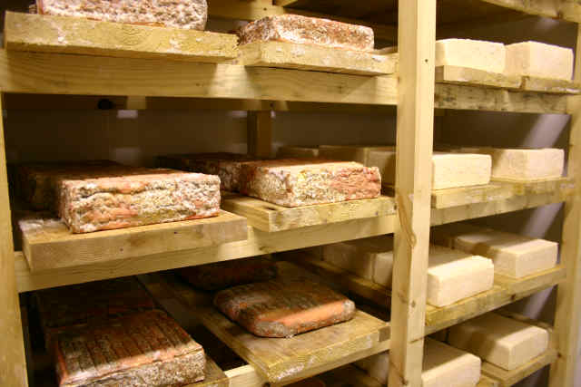 St James cheese.jpg. St James cheese.jpg.