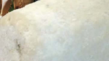 Ricotta Salaprese cheese.jpg. Ricotta Salaprese cheese.jpg.