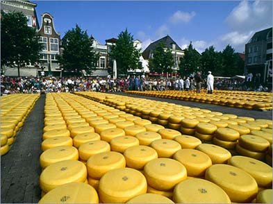 Old Alkmaar cheese.jpg.