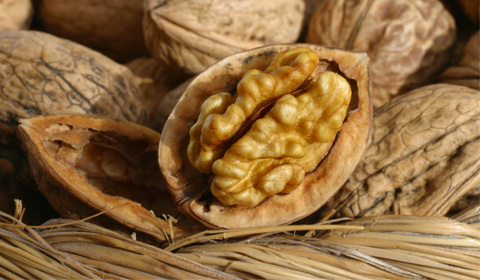 Noix de Grenoble (Grenoble walnuts).jpg.