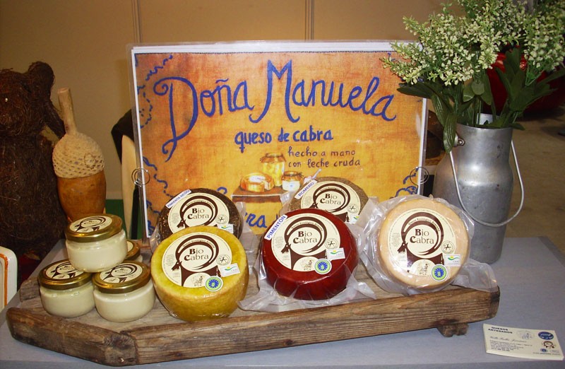 Dona Manuela cheese.jpg.