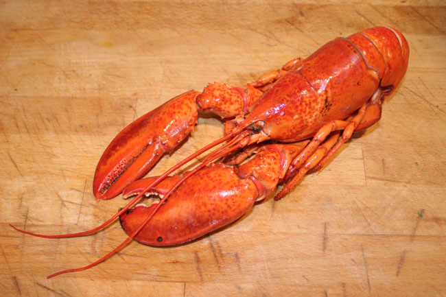 How to prepare Lobster thermidor.jpg.