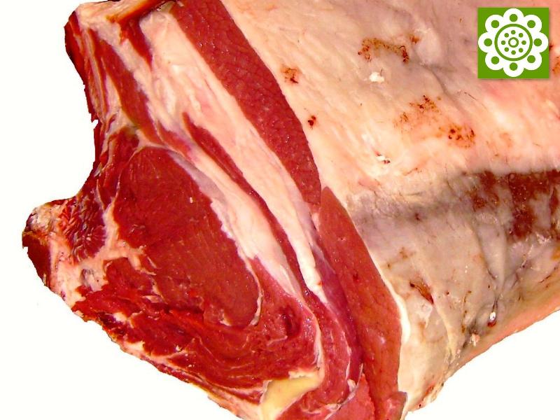 Carne de Morucha de Salamanca.jpg.