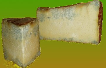 Bleu de Termignon cheese.jpg.