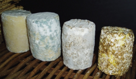 Clacbitou cheese.jpg.