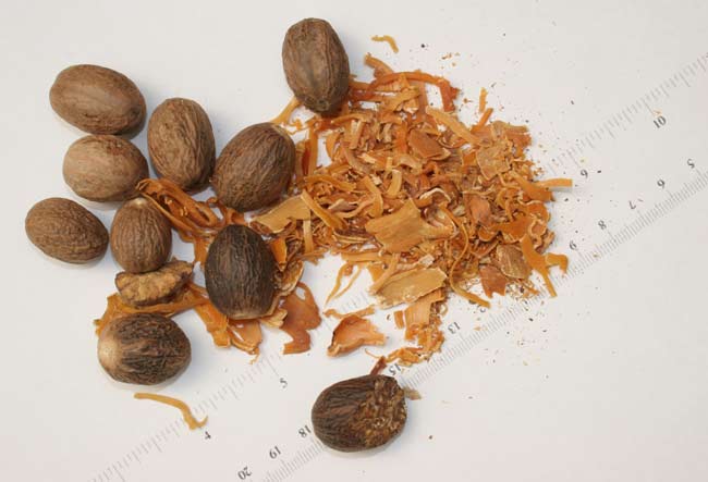 Nutmeg and mace.jpg.