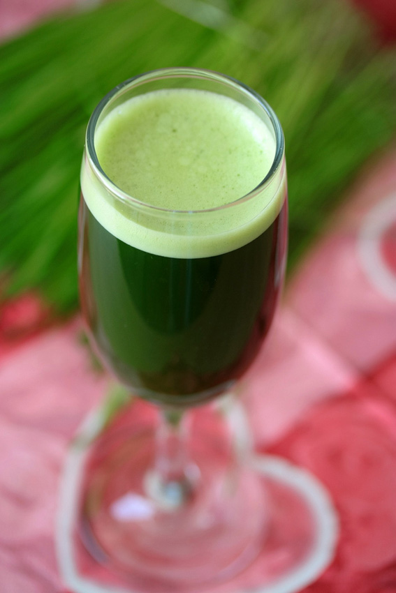 Wheatgrass juice.jpg. Wheatgrass juice.jpg.