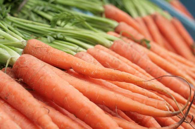 Carrots2.jpg.