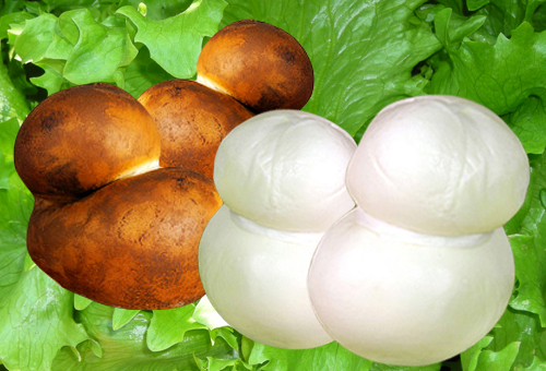 Scamorza di bufala cheese.jpg.