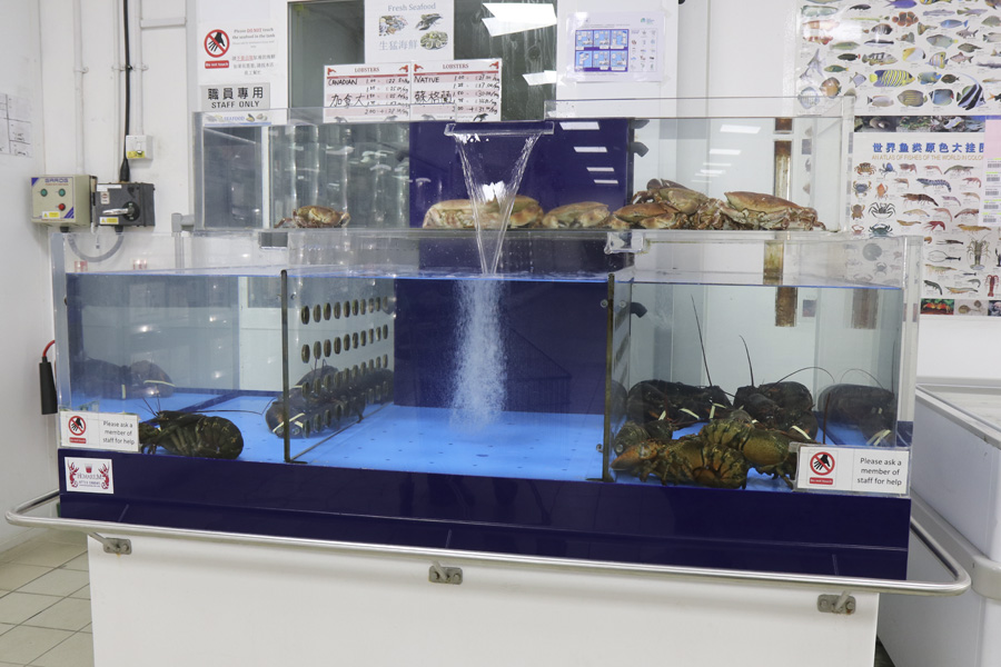 Really fresh fish and seafood.jpg.