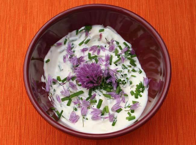 Sour cream and chive dip