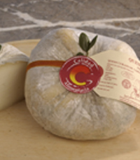 Benabarre cheese