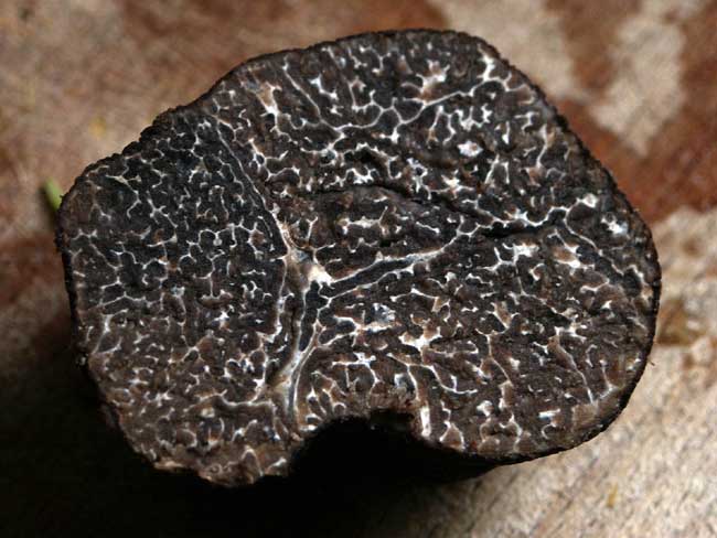 Truffle: Wiki facts for this cookery ingredient