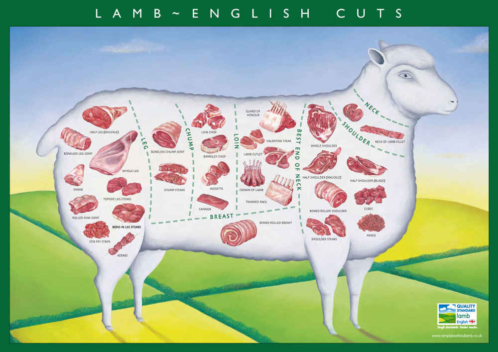 Cuts of lamb - illustrated.jpg. Cuts of lamb - illustrated.jpg.