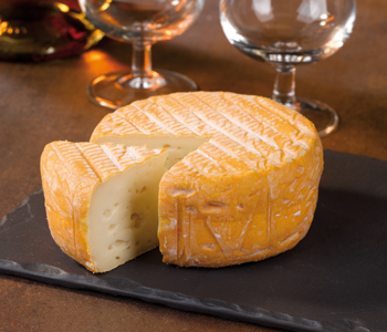 Grain d'Orge cheese.jpg. Grain d'Orge cheese.jpg.