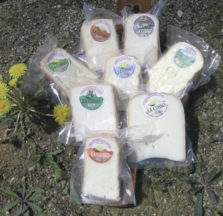 Cosso vache-chèvre.jpg.