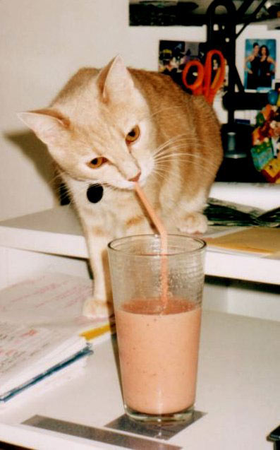 Milo smoothie.jpg.