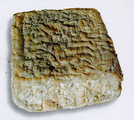 Caciofiore cheese.jpg.