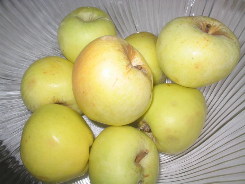 Maçã de Portalegre.jpg.