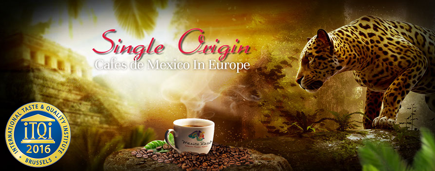 Mexico Real Cafe Award.jpg.