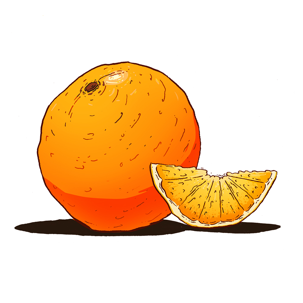 Orangeillu.jpg. Orangeillu.jpg.