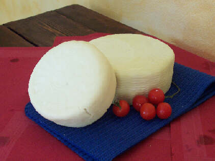 Caciotta di bufala cheese.jpg.