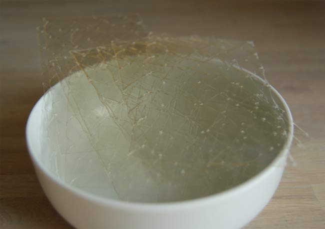 Gelatine.jpg. Gelatine.jpg.