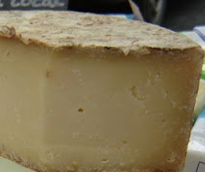 Bishop's Tump cheese.jpg. Bishop's Tump cheese.jpg.