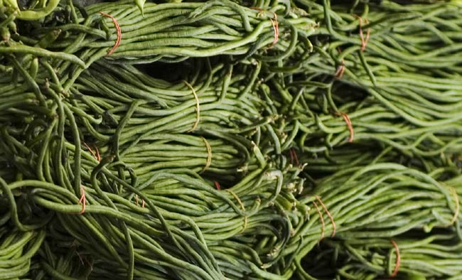 Yardlong beans.jpg. Yardlong beans.jpg.