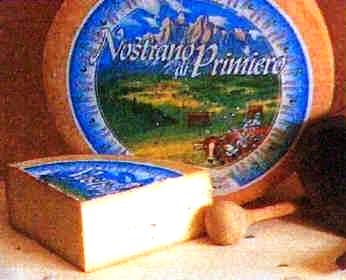 Nostrano del Primiero cheese.jpg.