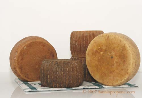 Pecorino del Matese cheese.jpg.